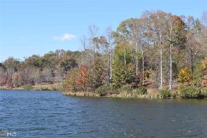 31  Forked Leaf Rd Lot 31