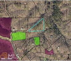 17  Turtle Lot 17