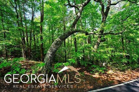 2197 Mcelroy Mountain Drive