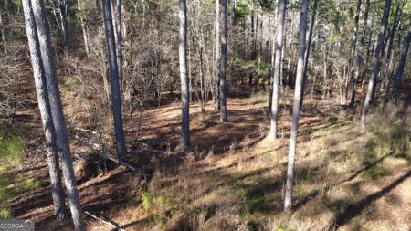 1051 Bluff Road, Elberton GA 30635