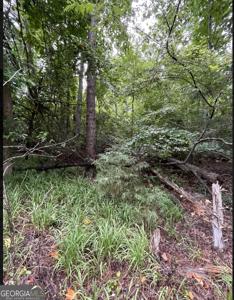 Lot 51 Alpine Way, Lavonia GA 30553