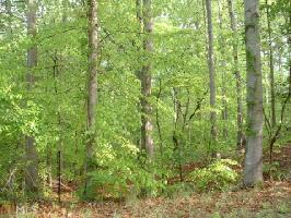 05  Hartwell Shores III Subdivision Lots28&29-H