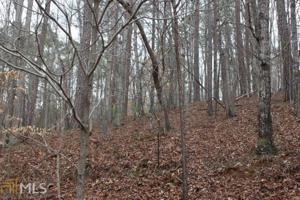 863  Oneida Cir Lot 863