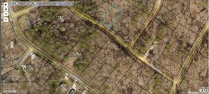 75 Dogwood Trl