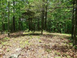 Lot 198 Northshore Dr