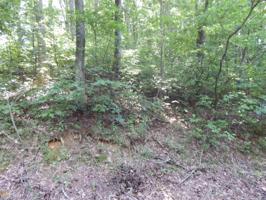 Bear Trl Lot 9