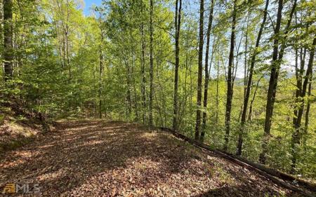 Lot 1C Lakewood Hills, Hayesville NC 28904