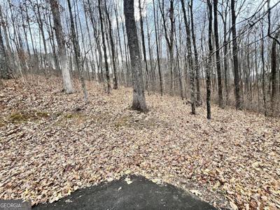 84 Rocky Knob Est