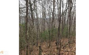 Lot #45 and #46 Beech Cove Vistas