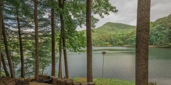425 Lake View Trce