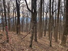 0 Big Stump Mountain Trail