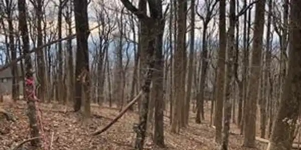 0 Big Stump Mountain Trail