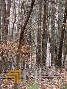 Lot 21 Bluff Road, Elberton GA 30635