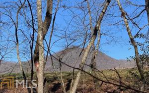 0 Penlands Indian Trail