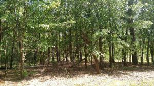 3&4  Lamont Lot 3&4