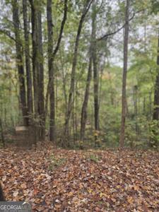 Redtail Court, Monticello GA 31064