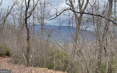 10 ACRES Gabriel Ridge