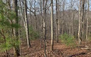 851 Bugscuffle Road