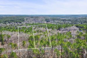 9.91+/- ACRES Turkey Point Drive