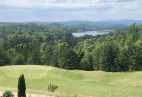 97 Lookout Point
