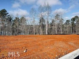 161 Southern Trace