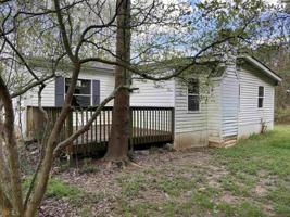 5010 Bee Tree