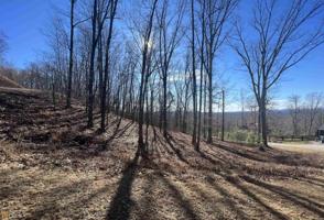 00 Mountainside Drive