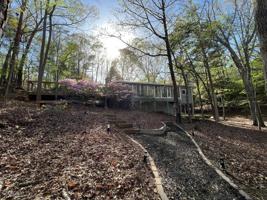 11 Bramblewood Drive
