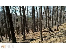 LP0454  Little Pine Mountain Rd Lot LP0454