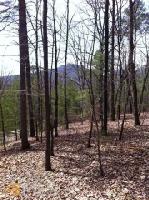 2792 2792 Summit Dr