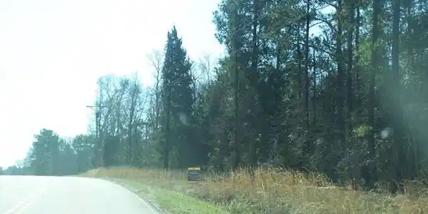 Bobby Brown State Park Rd