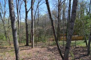 130 Lakewood Hills
