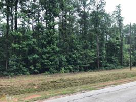 Cooter Creek Rd