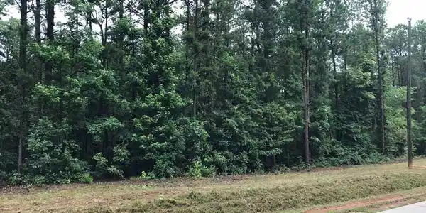 Cooter Creek Rd