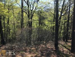 298  Little Hendricks Mountain Rd