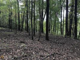 Lot 178 N Laceola Rd