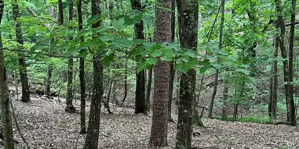 1108 Coachwhip Trail