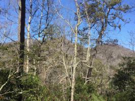 Lot MAP 11 Timber Ridge Ct