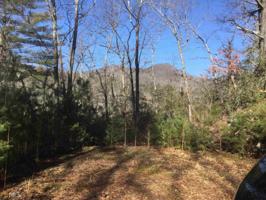 Lot MAP 15,E42 Chattahoochee Forest Cir