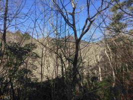 Lot MAP 14,E41 Timber Ridge Ct