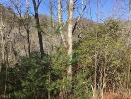 Lot MAP 8 Timber Ridge Trl