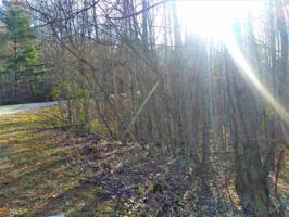 Lot 9 Ramey Mountain Rd
