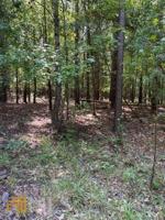 LOT 67 Wisteria Drive