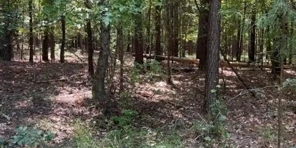 LOT 67 Wisteria Drive