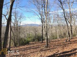 Lot 23 Forked Leaf Rd