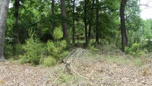 0 Knottywood Drive