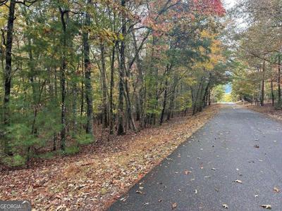 TR 1 Lori Lane, Blairsville GA 30512