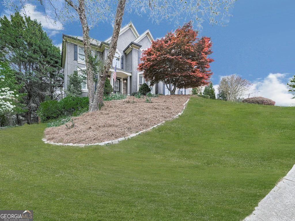 Image 4