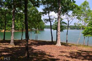 Crawford Ferry Rd Lot 2