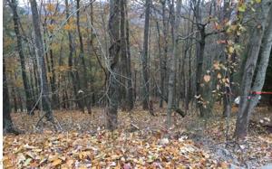 Lot 11 Michelle Cir